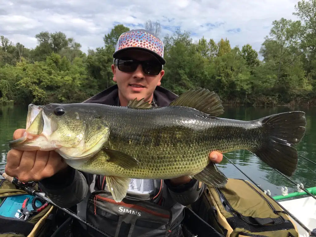 Angeln auf Bass_Guide