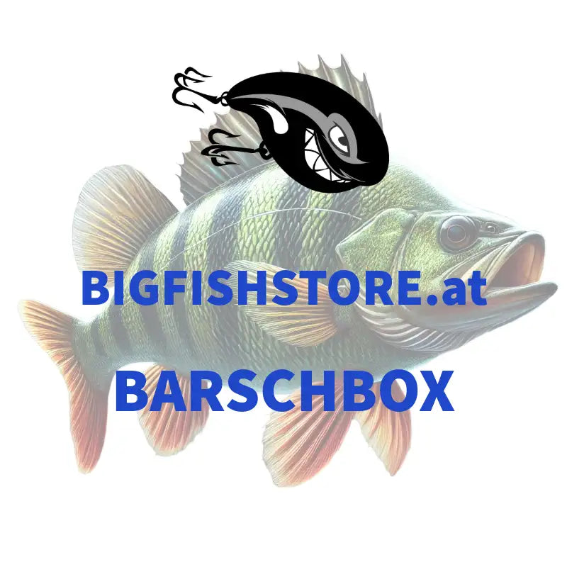 Bigfishstore_Barschbox