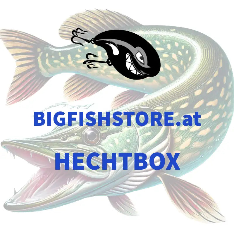 Bigfishstore_Hechtbox