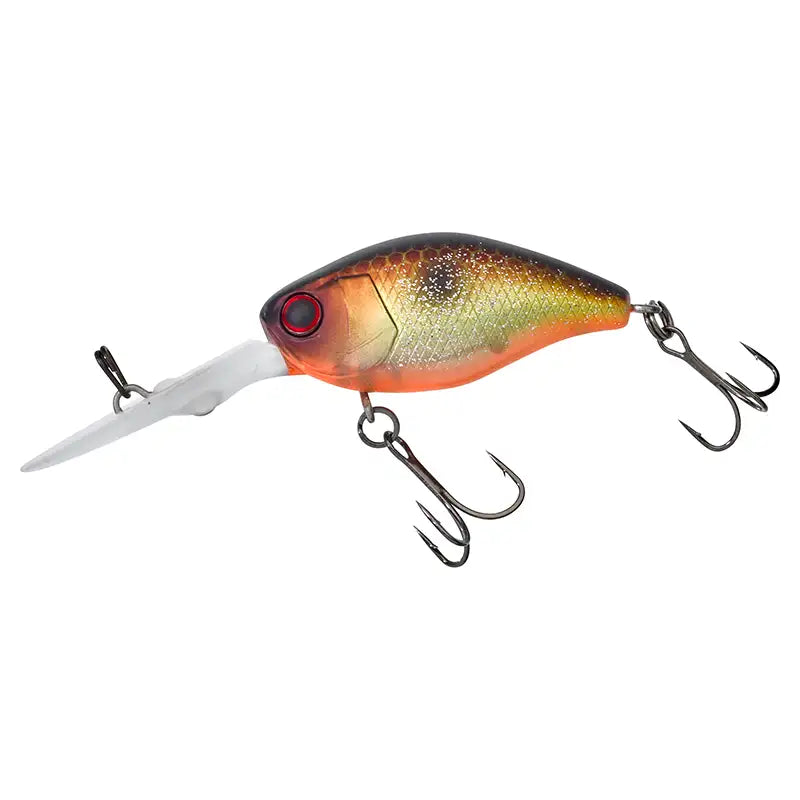 Illex Deep Diving Crankbait in 38mm Länge und schwimmend in Dekor Muddy Roach für klare und trübe Gewässer mit orangem Bauch