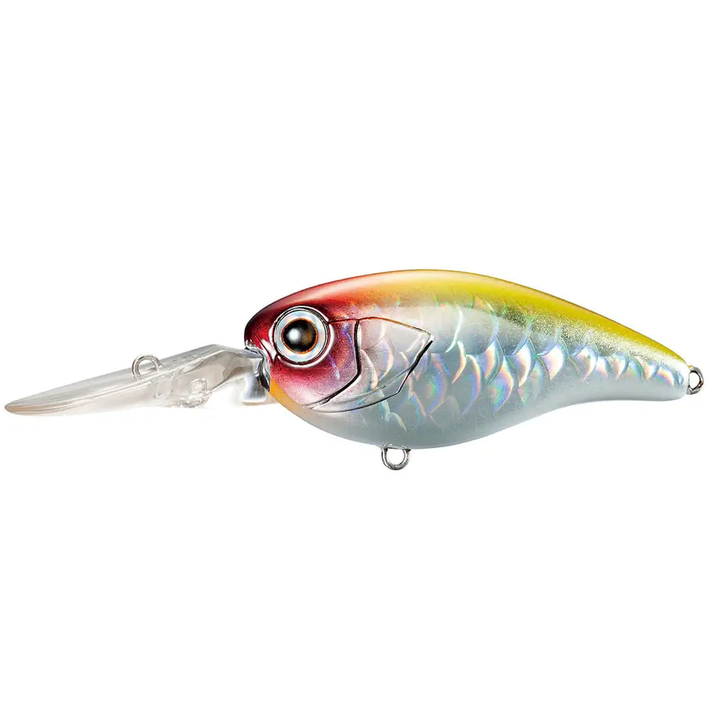 Shimano-Bantam-Kozak-DR-Clown